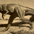 Otkrivena nova vrsta gigantskog dinosaurusa: Nazvan je "poslednjim Titanom" Tajlanda