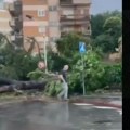 Tornado čupao drveće: Jako nevreme pogodilo Rim (video)