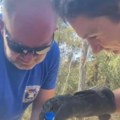 Prizor iz Deliblatske peščare topi srca! Vatrogasac usred vatre našao malo stvorenje, evo šta je odmah uradio