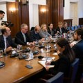 Ana Brnabić se sastala sa posmatračima izbora iz PS SE