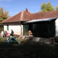 Seosko turističko gazdinstvo „Dedovina”: Spoj tradicije, prirode i buduće api-terapije