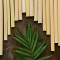 Srećni bambus u feng shuiju: Simbolika, broj stabljika i značenje!