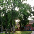 Rovovska bitka za svako drvo: Organizovani otpor sugrađana "zakočio" seču stabala, uoči najavljene obnove velikog parka u…