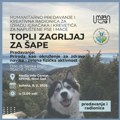 Novi Sad: Akcija pomoći za napuštene životinje i predavanje o značaju fizičke aktivnosti u prirodi (AUDIO)