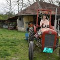 Ziben se na traktoru odmara: Za domaćina iz Despotovca, Darka Miladinovića, sezona traje 365 dana u godini