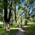 Vedro, sunčano i toplo
