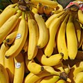 Cene pojedinih poljoprivrednih proizvoda znatno skočile: Kilogram banana i do 230 dinara