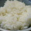 Cena pirinča beleži najveći skok, na godišnjem nivou za 19,7%