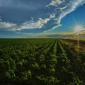 Regenerativna poljoprivreda šansa za veći prihod (AUDIO)