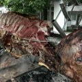 Nesvakidašnji prizor u samom centru Beograda! Evo kako se proslavlja Markovdan: Glavni kuvar od sinoć ispred Crkve Svetog…