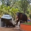 Podivljali slonovi pobili ljude: Stravični snimci se šire mrežama, životinja besni i prevrće automobil kao igračku, jedan…