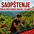 Saopštenje Udruženja proizvođača maline „VILAMET“ Arilje