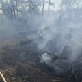 Požar u Deliblatskoj peščari: Velika borba s vatrom kod Kajtasova i Grebenca, vetar otežava gašenje