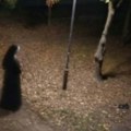 "Časne sestre" opet opsedaju Sremsku Mitrovicu: Misteriozne figure u crnim odorama ponovo viđene na više lokacija, objavljene…