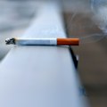 Skuplje cigarete i zabrane doprineće smanjenju pušenja