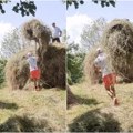 Mlati lovu na estradi i plasti seno! Srpski pevač otišao na selo i zasukao rukave - Evo kako on to radi! (foto)