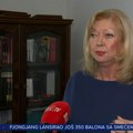 "Nasilnik nikad ne prestaje da bude nasilnik": Stručnjaci za "Blic" TV o nasilju nad ženama: "Bitno je ženama poslati jasnu…