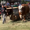 Sabor tradicije i ove godine u Jablanici (VIDEO)