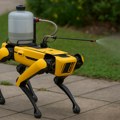 Hongkong će koristiti robotske pse u borbi protiv komaraca