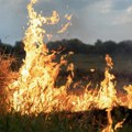 Ne gore samo šume: Požari otkrivaju dublji problem koji godinama raste