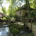 Kako je selo Vrmdža postala magnet za nove stanovnike: Amerikanci, Italijani i Beograđani pronašli dom podno Rtnja