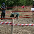 Decenijama šetali pored bombi: U Miljakovačkoj šumi pronađena 864 eksplozivna sredstva