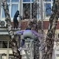 VIDEO Pogledajte kako su studenti ušli u DIF u Novom Sadu: Popeli se na drvo, pa ušli u zgradu kroz prozor