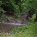 Srušio se drveni most, deca upala u reku! Incident u Ukrajini, povređeni prebačeni u bolnicu (video)