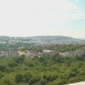 Građani pokrenuli peticiju za očuvanje Bajdine šume