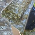 Policajci prišli autu na Dunavu, a onda je usledio šok: Diler pobegao u šumu i ostavio pune kofere droge!