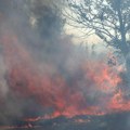 Uhapšen muškarac zbog sumnje da je izazvao požar u okolini Zadra