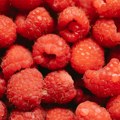 Udruženje malinara Vilamet nezadovoljno otkupnom cenom od 300 dinara po kilogramu