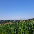 Seljak seje, a sunce - „bere“! Ekstremna suša kao nova normalnost /video/