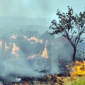 MUP: U Srbiji trenutno aktivno više od 100 požara na otvorenom