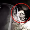 Vlada će ovu noć pamtiti zauvek: Spazio omalenog stvora na putu, a onda nastao snimak koji se gleda netremice