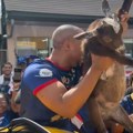 Posle najvećeg čuda u istoriji Mundijala: Navijači sa jarićima izašli na ulice, ovo su scene koje morate da vidite (video)