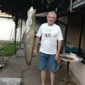 Dragan upecao zver kakva se retko viđa u Moravi: Kapitalac pao posle dva sata borbe, ribolovci ostali bez teksta (foto)