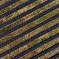 Zelena agenda i održiva budućnost: Kako energetska tranzicija oblikuje svetske ekonomije