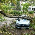 Beograđani u strahu od novog nevremena, u "Zelenilu" kažu da jaka oluja čupa i lomi i zdrava stabla: "Niko ne može da…