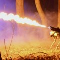 Сада можете купити пса-робота са бацачем пламена за мање од 10.000 долара