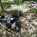 Akcija kragujevačkih ekologa „uspela“, a šuma puna otpada