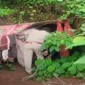 Ruskinju pronašli u pećini u Indiji: Objasnila zašto se sa dve male ćerke krila od civilizacije (VIDEO)