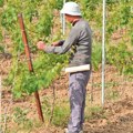 Uređenjem sezonskih poslova smanjuje se zloupotreba prava radnika
