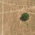 ZLF predlaže pet mera ključnih za prilagođavanje Srbije klimatskim promenama