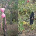 (Foto) Pribojčani u šoku, plaše se da je u pitanju neki sektaški ritual Razapet donji veš na drveću uznemirio meštane: Nikada…