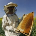 Izvoz u Kinu razvojna šansa za sve pčelare u Srbiji