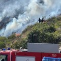 "Brzo se proširio": Lokalizovan požar kod Dubrovnika: Na gašenju učestvovala i dva kanadera (video)