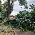 Радници „Градског зеленила“ јуче санирали последице невремена на више од 40 локација