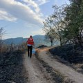 MUP: Većina požara ugašena i pod kontrolom, Toplički okrug među najugroženijima