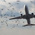 Snimak drame nad SAD: Avion pun putnika udario u jato ptica, motor se zapalio, usledilo prinudno sletanje